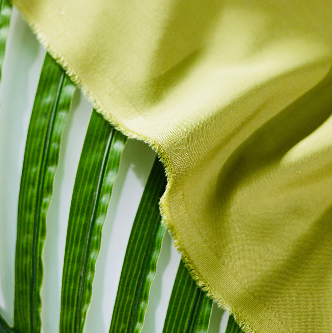 PISTA PREMIUM WASH & WARE